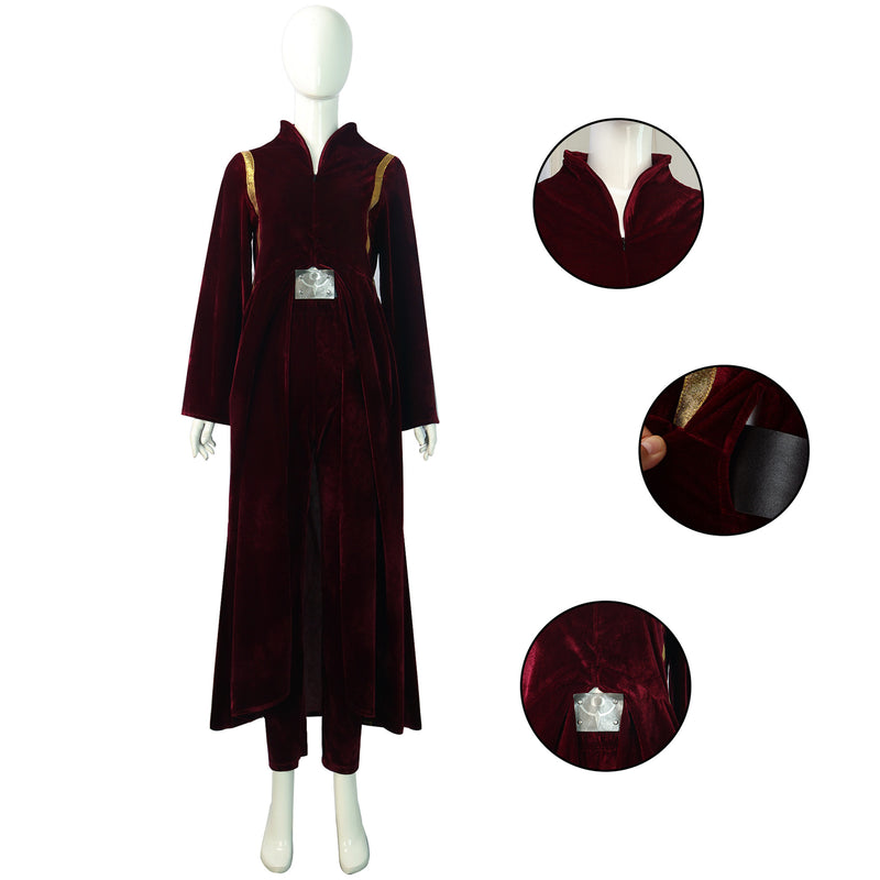 Movie Star Wars Amidala Cosplay Costume Burgundy Velvet Dress